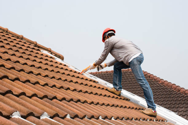 Best Roof Insulation Installation  in Mojave, CA